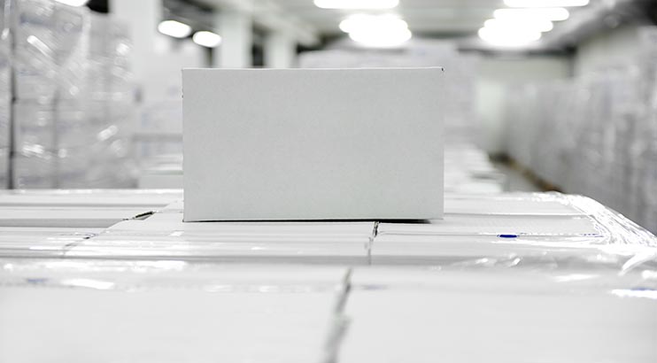 Logistik & Distribution