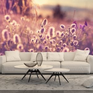 Modern white sofa in a living room