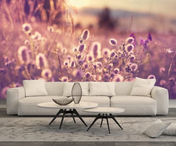 Modern white sofa in a living room